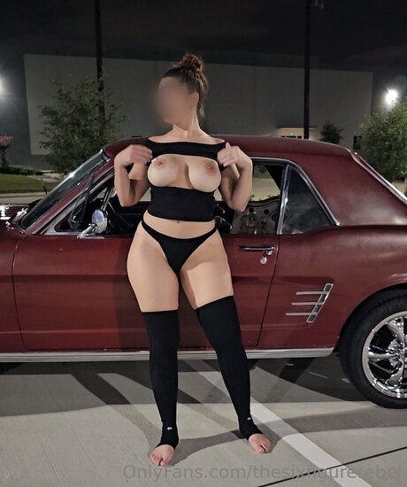 Thesixfigurerebel erotic star photo