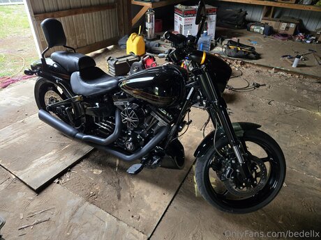 Bedellx high quality model picture