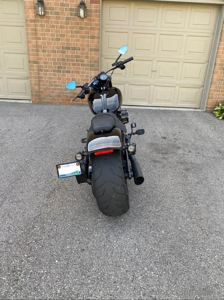 Bedellx sexy pornstar images