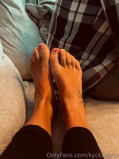 Kycklingko model top pic