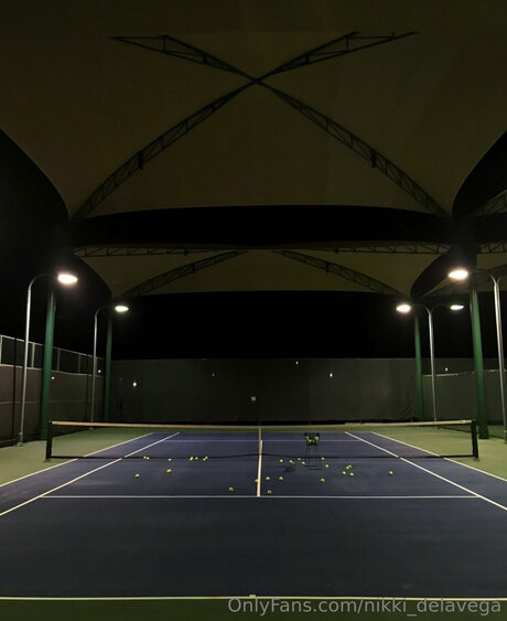 Nikki Delavega star naked pic