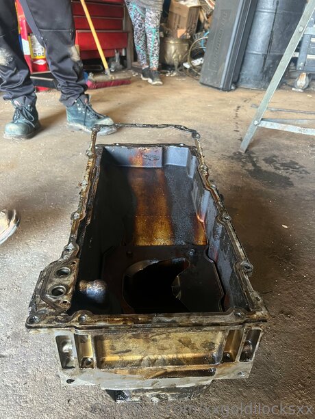 Xxgoldilocksxx nudes pornstar image