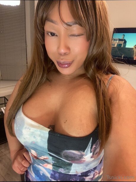 Nikkie Star exclusive star galleries