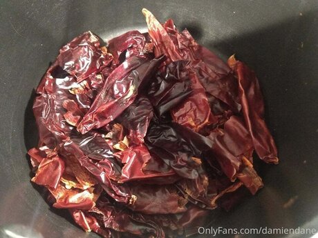 Damiendane star best pics