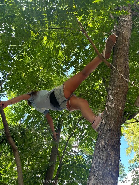 Missbadteacheracademy hot pornstar pictures