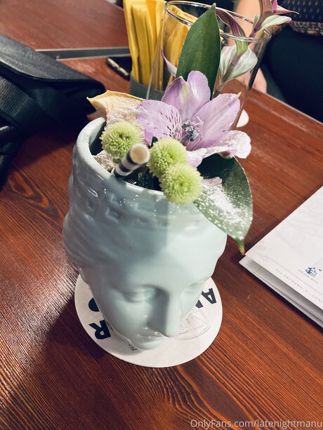 Bandwmanu model hd picture