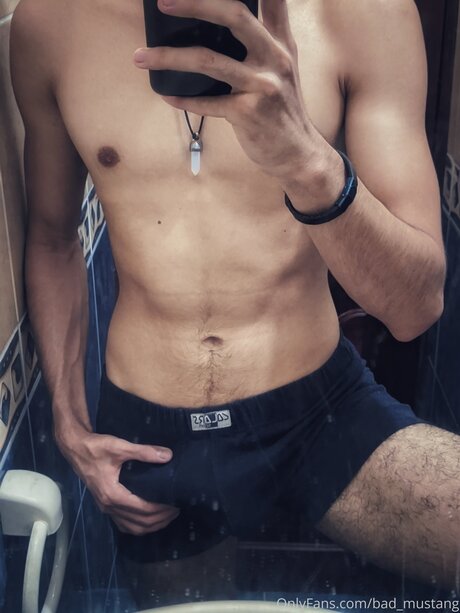 Bad Mustang free model photo