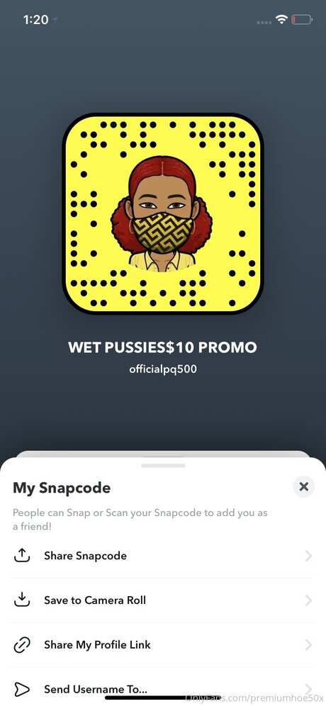 Premiumhoe50x art pornstar photos