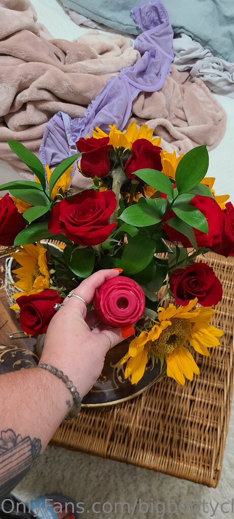 Bigbootychampagne nude model image