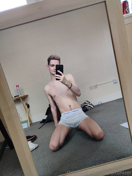 Thefultonizer star high quality gallery