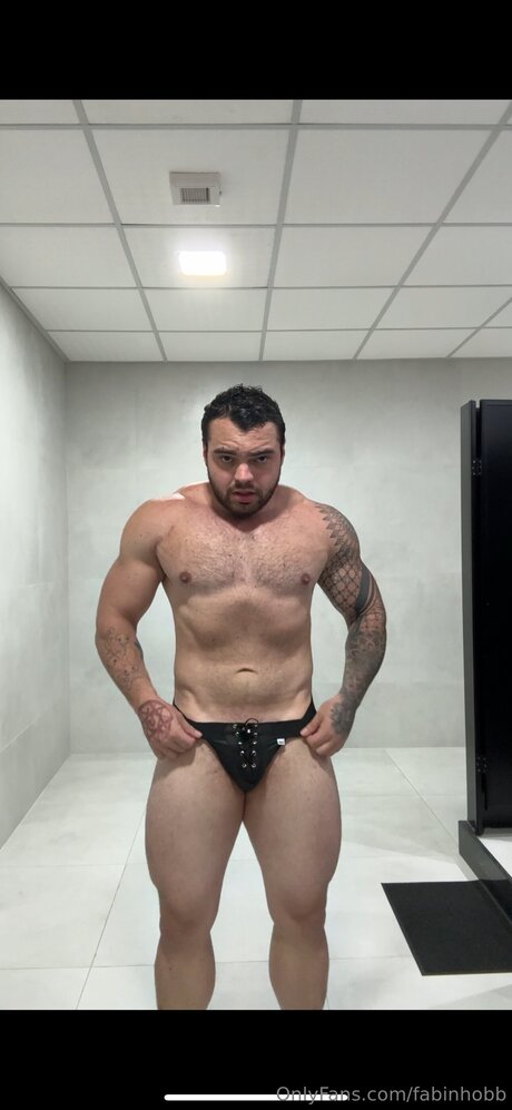 Fabinhobb star art gallery