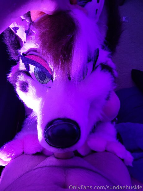 Sundaehuskie xxx star pictures