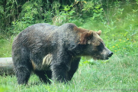 Cle Film And Photo free star galleries