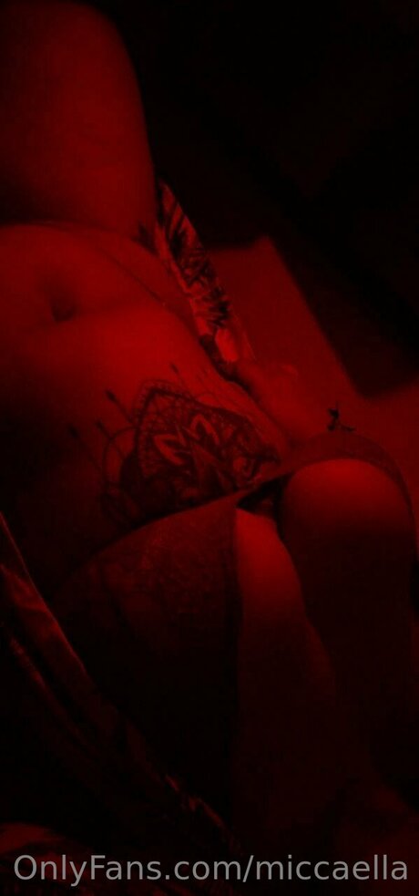 Miccaella model art gallery