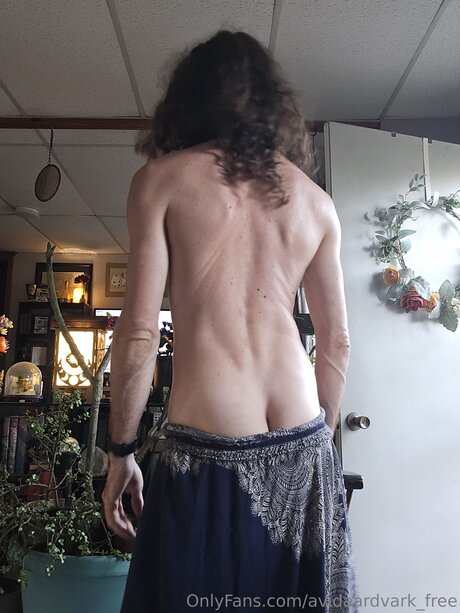 Avidaardvark Free pornstar nice pictures