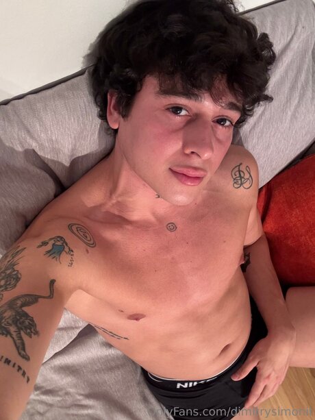 Dimitrysimonit hd model image