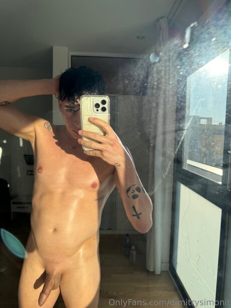 Dimitrysimonit model best img