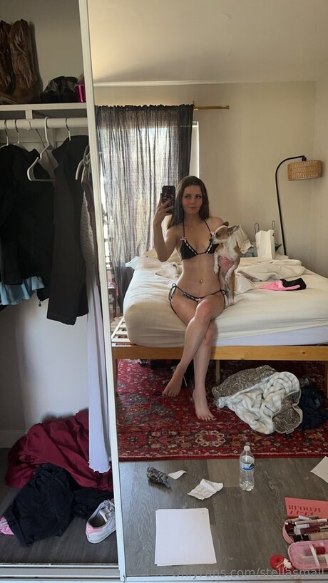 Ho11ywoodgirl Profile pic