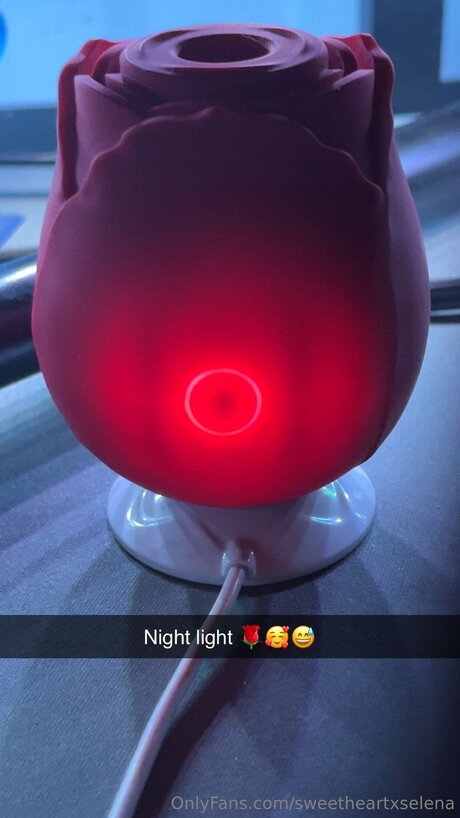 Sweetheartxselena star erotic photo