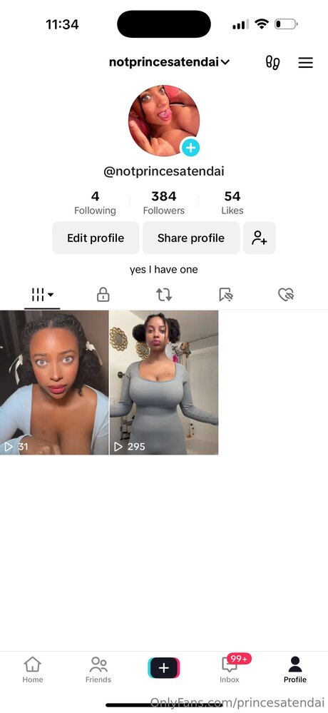 Princesatendai nude model pictures