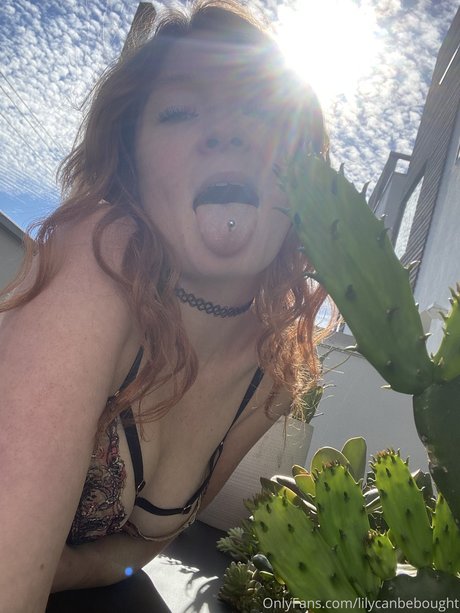 lily ana model art picture