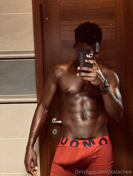 Kalachee model art galleries