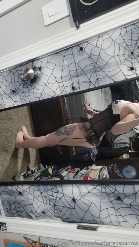 Featheredsparrow art star images