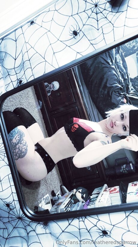 Featheredsparrow star nice picture