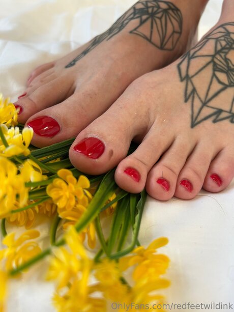 Redfeetwildink adult star photos