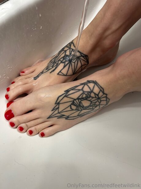 Redfeetwildink star hd image