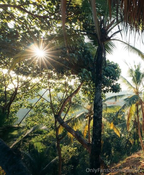 Aiko Xx porn actress pictures