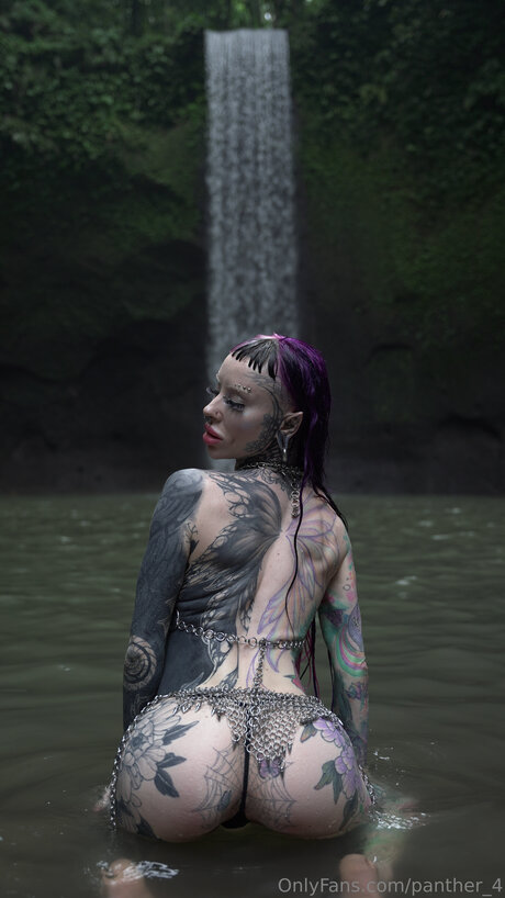 Panther 4 pornstar top picture
