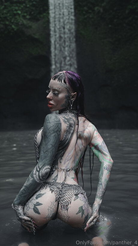 Panther 4 model xxx archive