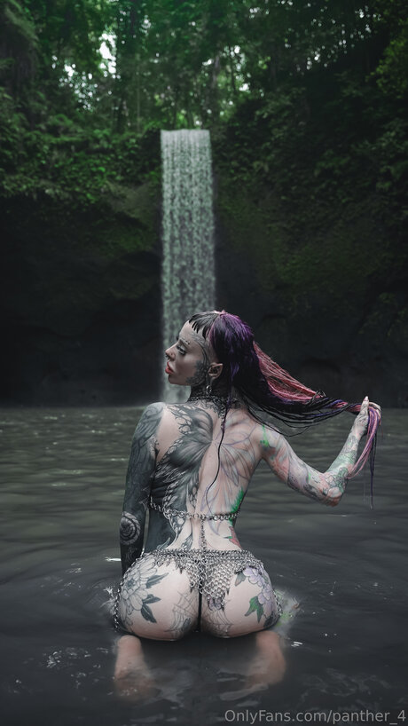 Panther 4 top star pic