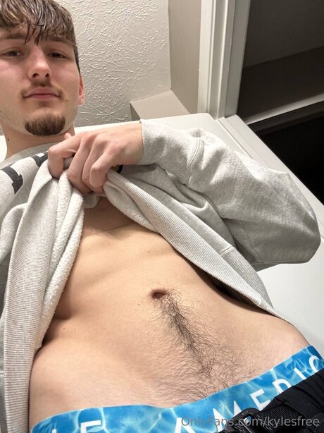 Kylesfree art star picture