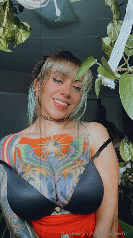 Littlewillowfree star pornographic archive