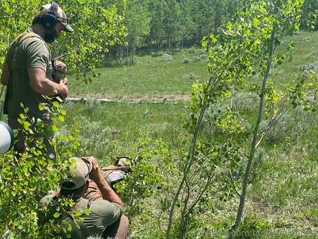 Bulletvalentina star sex galleries