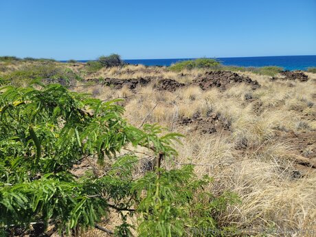 Bulletvalentina pornographic star photo