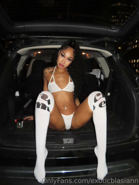 Exoticblasiann_ model best image