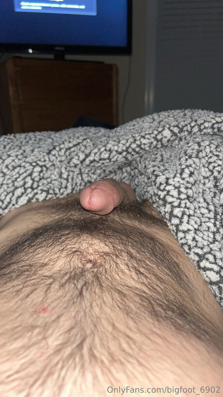 Bigfoot 6902 adult actress image