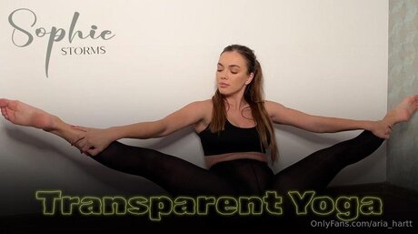 Aria Hartt adult star archive