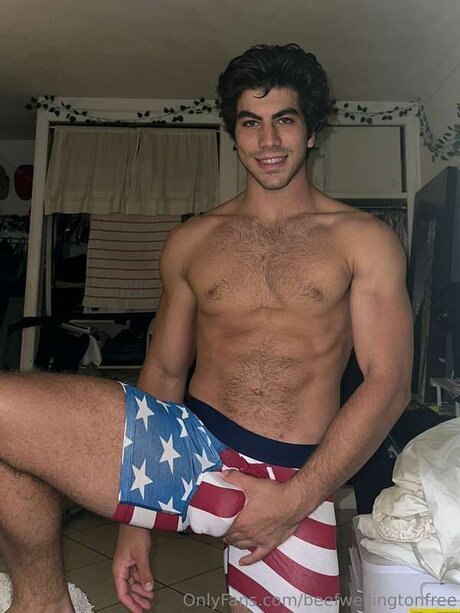 Beefwellingtonfree best star images