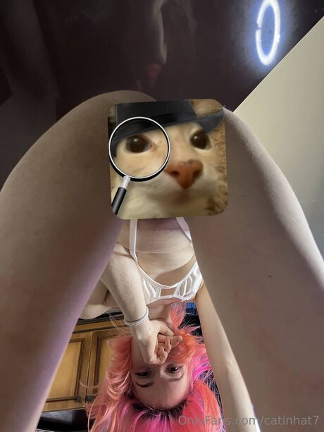 Catinhat7 star beautiful photo