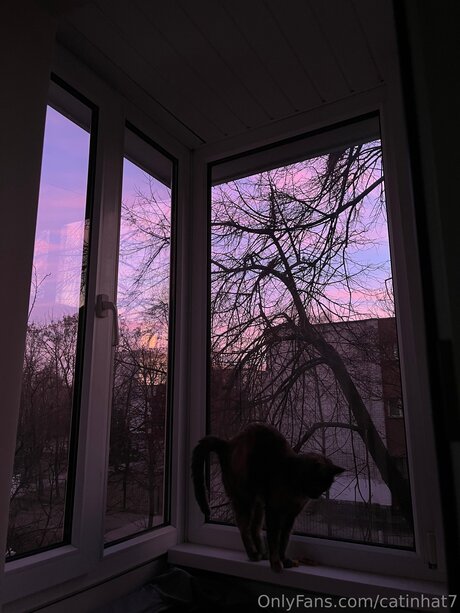 Catinhat7 model nude pictures