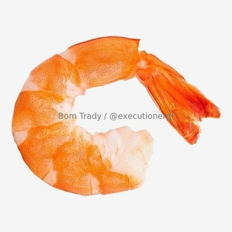 Executionergf model best galleries