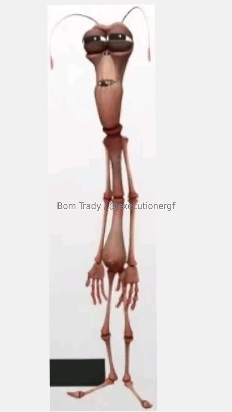 Executionergf star art pics