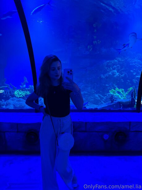 Amel Lia top star gallery