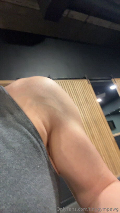 Tinygympawg perfect pornstar image