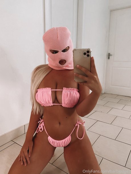 _Barbi star nude galleries