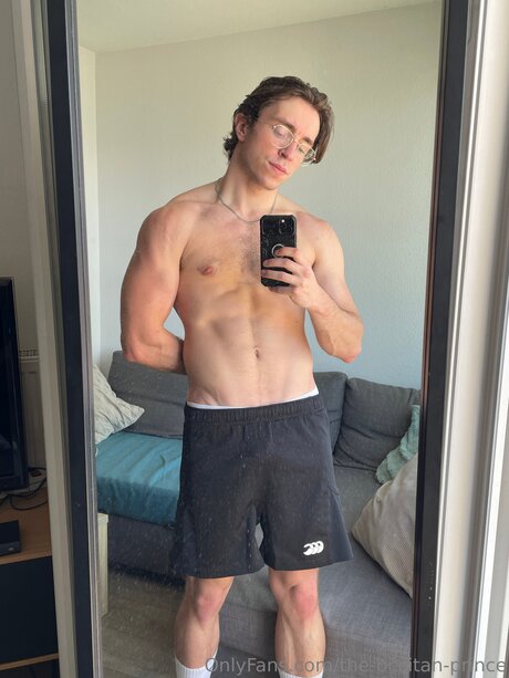 The Occitan Prince model best img